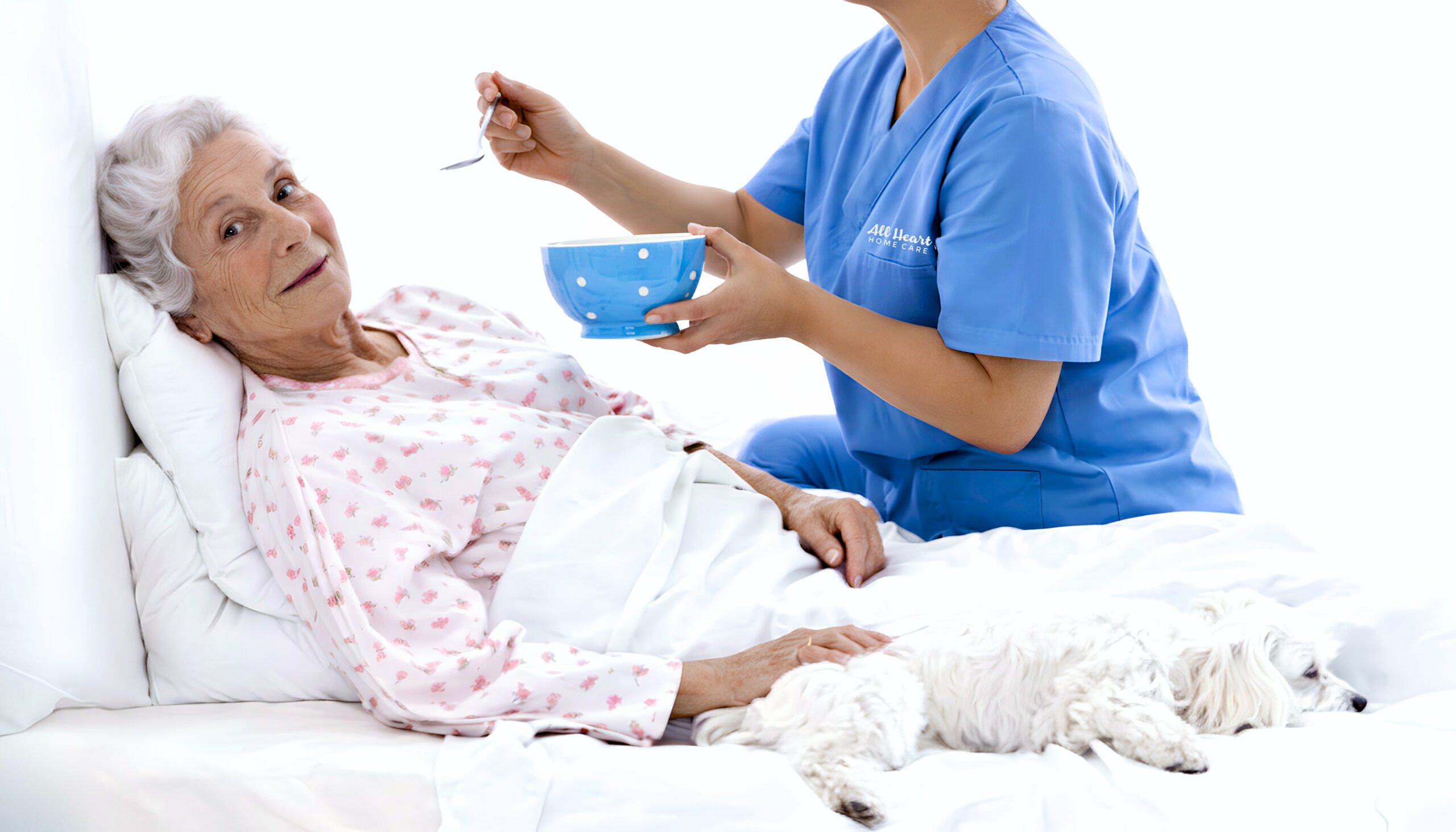 Hospice - Palliative Home Care 16 How To Choose A Hospice Care Provider- Questions Every Family Should Ask